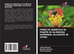 FEDELTÀ GENETICA DI PIANTE DI GLORIOSA SUPERBAL ALLEVATE IN VITRO