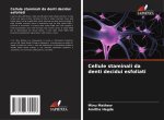 Cellule staminali da denti decidui esfoliati