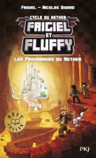 Frigiel et Fluffy - tome 2