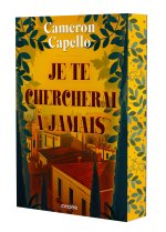 Je te chercherai à jamais - broché