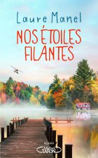 Une histoire d'étoiles filantes (titre provisoire)