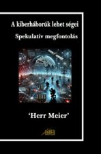 A kiberháborúk lehetöségei