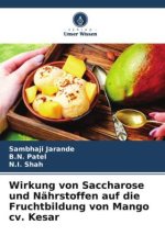 Wirkung von Saccharose und Nährstoffen auf die Fruchtbildung von Mango cv. Kesar