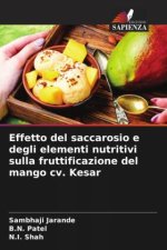 Effetto del saccarosio e degli elementi nutritivi sulla fruttificazione del mango cv. Kesar
