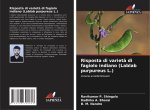 Risposta di varietà di fagiolo indiano (Lablab purpureus L.)