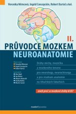 Průvodce mozkem - Neuroanatomie II