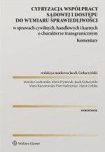 Cyfryzacja współpracy sądowej i dostępu do wymiaru sprawiedliwości w sprawach cywilnych, handlowych i karnych o charakterze transgranicznym. Komentarz