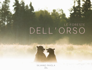 foreste dell'orso