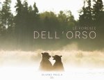 foreste dell'orso