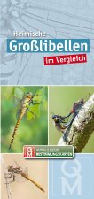 Heimische Großlibellen im Vergleich. 10er-Set