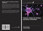 Células madre de dientes deciduos exfoliados