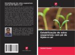 Estabilizaç?o de solos expansivos com pó de tijolo e cal