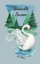 Snowlit Swan