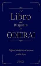 Il Libro delle Risposte che Non Volevi
