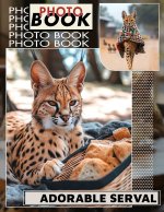 Adorable Serval Photo Book