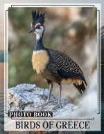 Birds of Greece Photo Book