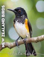 New Zealand Birds Photo Book