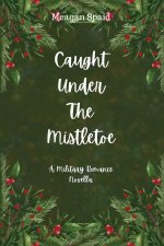 Caught Under The Mistletoe