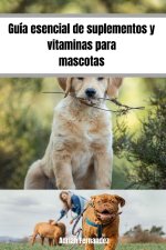 Guía esencial de suplementos y vitaminas para mascotas