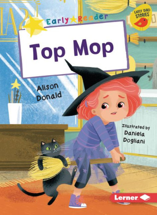 Top Mop