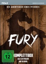 Fury - Komplettbox, 19 DVD
