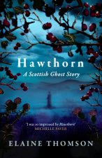 The Caithness Poltergeist