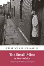 The Small Mine