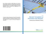 Devenir Consultant en Prévention des Risques