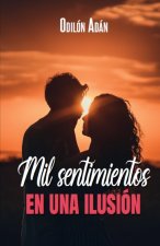 Mil sentimientos en una ilusión