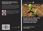 Respuesta de diferentes maíces blancos bajo estrés por exceso de humedad del suelo