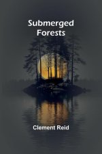 Submerged forests