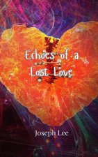 Echoes of a Lost Love