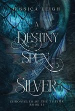 A Destiny Spun in Silver - Special Edition