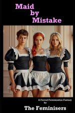 Maid by Mistake