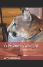 A Brave Cougar