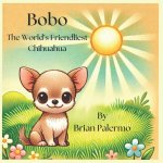 Bobo The World's Friendliest Chihuahua
