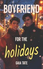 Boyfriend for the Holidays