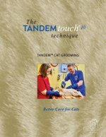 TANDEM touch(TM) 10 Technique