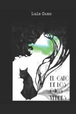 El gato de los ojos verdes