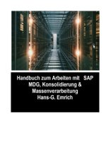 SAP Master Data Governance - Consolidation & Massenverarbeitung  mit SAP DQM (Data Quality Management )- Best Practices Handbuch mit Anwendungsbeispie