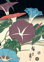 Journal Morning Glories and Cricket by Hiroshige