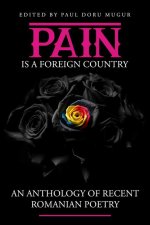 Pain Is a Foreign Country