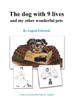 The dog with 9 lives