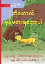 Bo Tauk's Missing Treat - ဘိုတောက် မုန့်မစား)