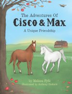 The Adventures Of Cisco & Max