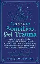 Curación Somática Del Trauma