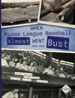 When Minor League Baseball Almost Went Bust