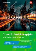 Industrie. 2. und 3. Ausbildungsjahr  Lernsituationen