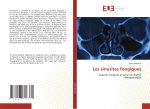Les sinusites fongiques