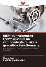 Effet du traitement thermique sur un composite de cuivre ? gradation fonctionnelle